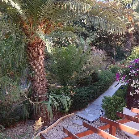 Paradise Semesterbostad