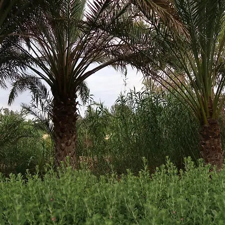 Paradise * Paphos